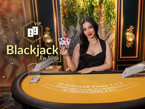 VIP Blackjack en Español 8 icon