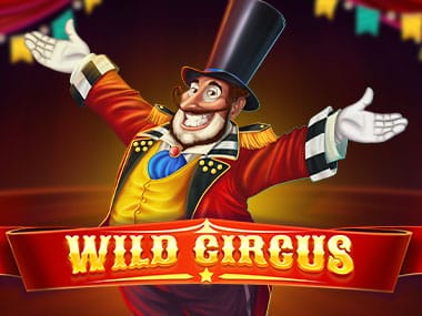 Wild Circus game screenshot
